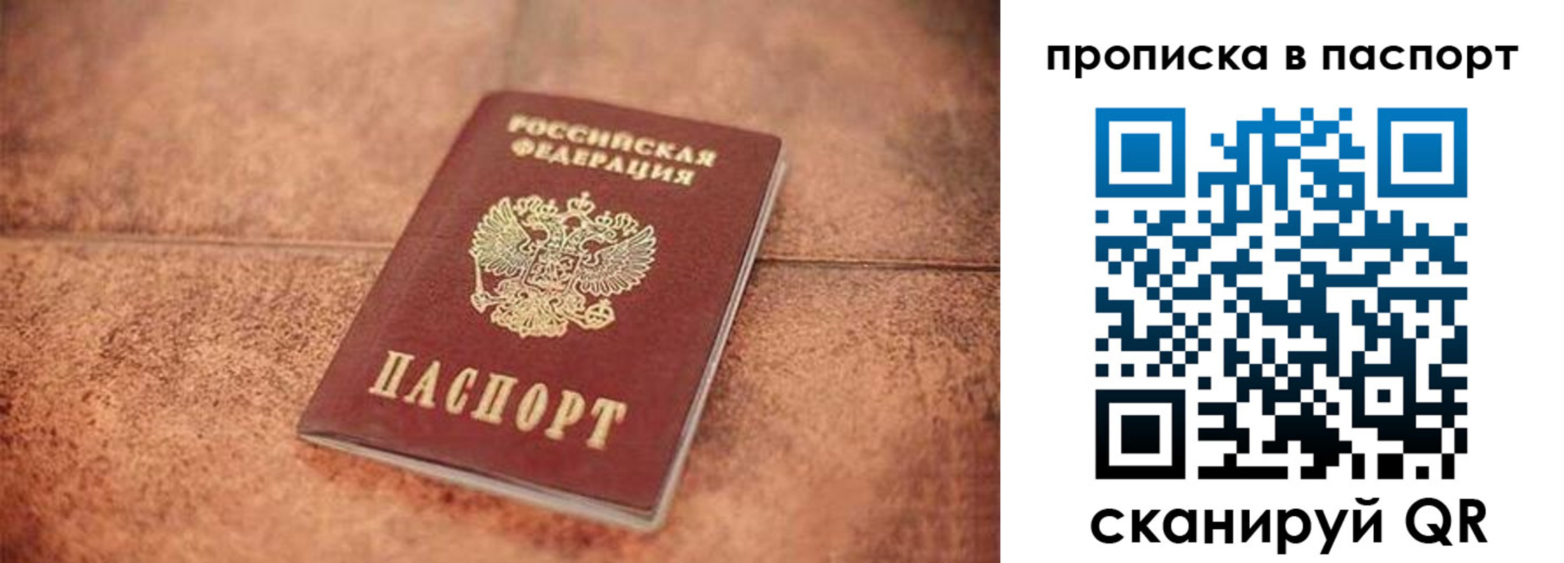 прописка для работы в Кингисеппе