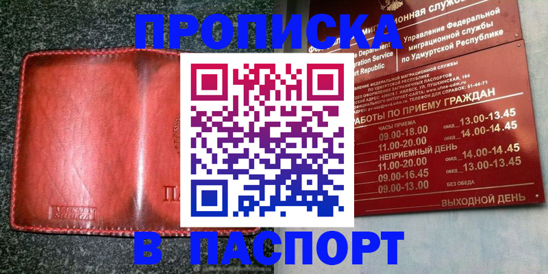 прописка поиск в Кингисеппе